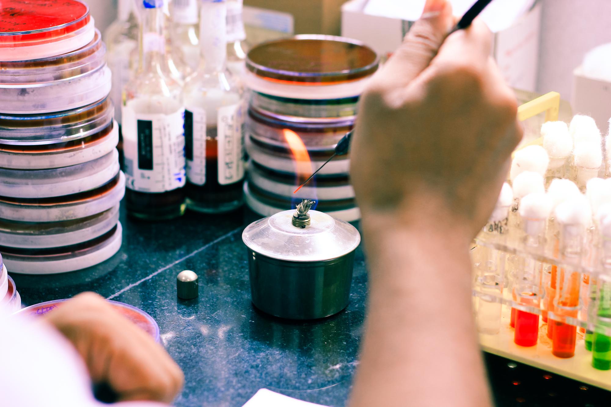 laboratoryjna stacja degustacyjna z próbkami potraw